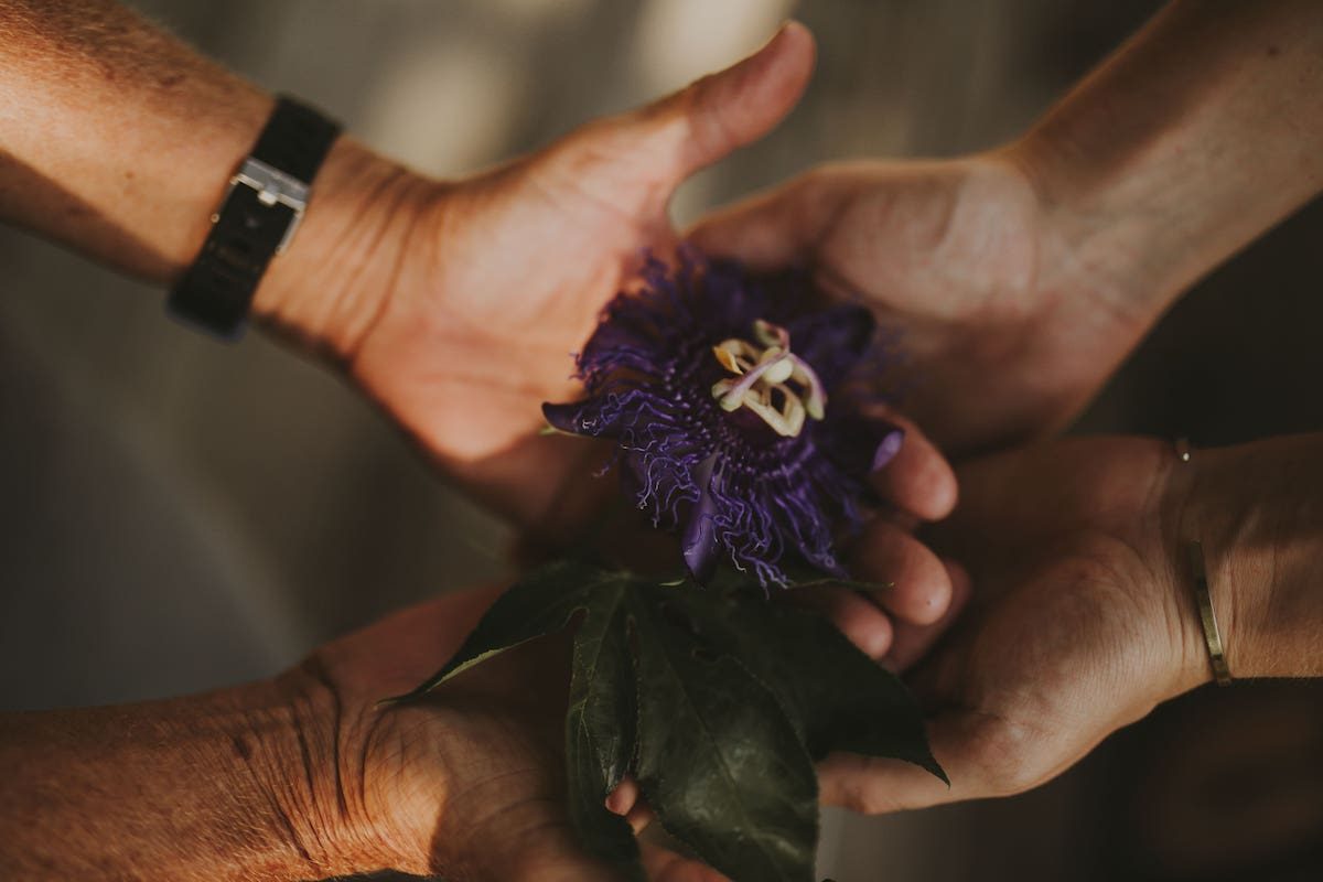 Connect: Two people's hands hold a beautiful passion flower