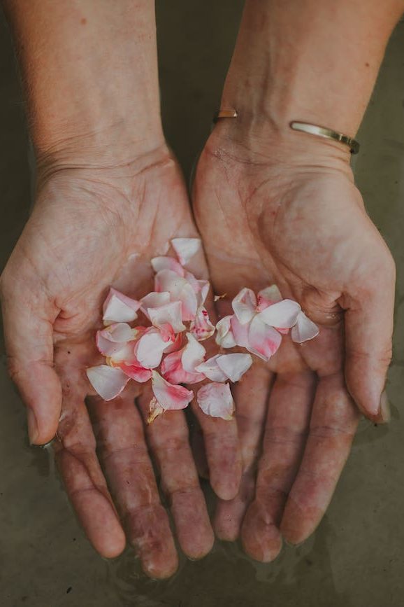Channeling the divine: hands holding rose petals in water